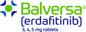Balversa Logo